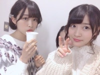 빼꼼~~ - 사쿠라자카46 카테고리