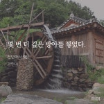 역시 새벽이야 - 서브컬쳐 카테고리