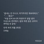 수 이름 부르는 공 개처돌인데 진짜 100000% 만족을 경험함.....(ㅂㅊ - BL 카테고리