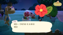 강매당하고 도둑소리 들었다예요!!!! - 동물의숲 카테고리