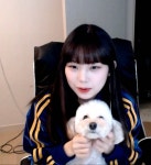나나 미용했다ㅋㅋㅋㅋㅋ - 인터넷방송(BJ/스트리머 등) 카테고리