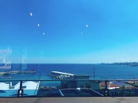 동호가 살았던 애월의 바다 - 프로듀스101 카테고리