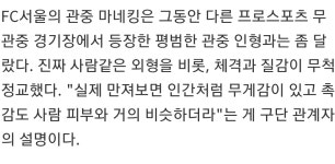 전체 게시판 - 이거만 봐도 존나 리얼돌 홍보성인데