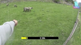 ㅅㅍ김태형 본보에서 염소한테도 그러더니 ㅠㅠㅋㅋㅋㅋ - 뷔 카테고리