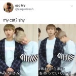 우리집 고양이는 부끄러움을 많이 타 - 지민(BTS) 카테고리