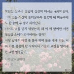 살구골 읽으면 마음이 힐링돼... - 서브컬쳐 카테고리