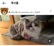인별 게시물에 음악추가하는것도 도움이 될까? - 강다니엘 카테고리