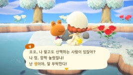 어제의 만족스러운 마일섬 투어! - 동물의숲 카테고리