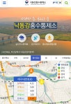 대구 금호강 홍수주의보발령(신암동) - 스퀘어 카테고리