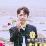 치명적인 댕댕이 말티쥬 - 이찬원 카테고리