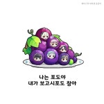 와 이 아잉짤 처음보는데 너무너무 귀엽다ㅜㅜ - 메이플스토리 카테고리