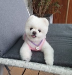 달리 인스타그램 - 스퀘어 카테고리