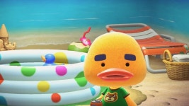 오늘도 애기 오리 리처드는 귀엽다 - 동물의숲 카테고리