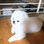 우리 연기천재는 프로네 - 드영배 카테고리