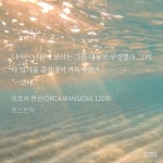 요오오오오오오오오망 금붕어 갓기 한입거리도 아닌 호로록 니아 - BL 카테고리