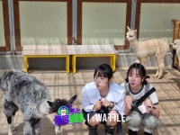 더쿠 - 스튜디오와플 인스타 예나 유리