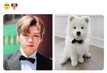 멈보싶 (υ·•︠ܫ•︡ υ) - 강다니엘 카테고리