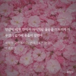 이우연 진짜 개새끼야ㅋㅋㅋㅋㅋㅋ - BL 카테고리