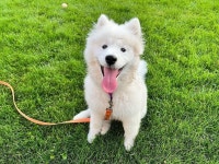 더쿠 - 쥬인 난 쥬인이 조아