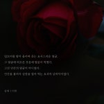 일록이의 중희 외모묘사 - 비엘 카테고리