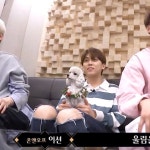 로드투를 그렇게 많이 봤는데 이건 처음 봄 - 온앤오프 카테고리