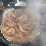 한국사위 된 빌푸 근황 - 스퀘어 카테고리