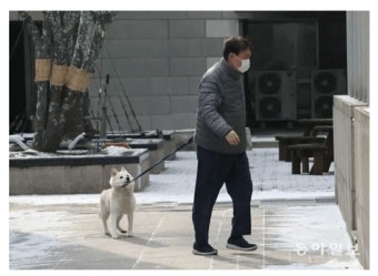 대깨들이 말하는 동물학대 - 코로나19 카테고리