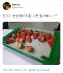 헐 진짜 석진이네 삼촌 농장 맞는거 같은데? - 방탄소년단(BTS) 카테고리
