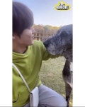 더쿠 - 봉팔이한테 핥음 당하고 당황하는 표정 귀여웤ㅋㅋ