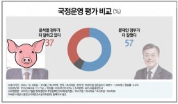 더쿠 - 두창정부는 6개월이 되도 문정권에대한 열패감을 숨기지를 못하네