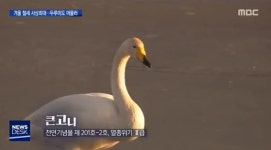 온갖 짹짹충들 정모한 철원 - 스퀘어 카테고리