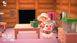 아픈 차둘이 존귀라고 한 덬 어디있어???? ㅡㅡ - 동물의숲 카테고리