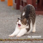 나는 예쁘다 - 스퀘어 카테고리