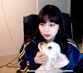 나나 미용했다ㅋㅋㅋㅋㅋ - 인터넷방송(BJ/스트리머 등) 카테고리