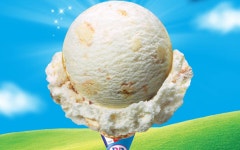 더쿠 - 배스킨라빈스, 새해 첫 이달의 맛 ‘우리 끼리’