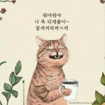 그친놈은 못쓰는짤 - 그 남자의 기억법 카테고리