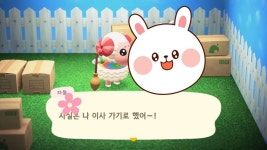 차둘 데려갈 덬 있어? - 동물의숲 카테고리