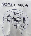 전체 게시판 - 성남대군 뇌구조를 다시보자