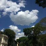 밖이 나가고싶어서 올리는 학교에서 찍은 겨울하늘 사진들 - 해외거주토크 카테고리