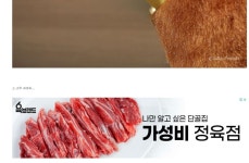 소만 따로 팔아달라는 반응 많은 2021 신축년 라이언 인형 - 스퀘어 카테고리
