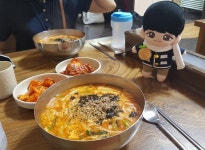더쿠 - 뉴종현덬 솜뭉치랑 강릉 다녀온 후기 ㅋㅋ