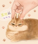 오리팬아트 - 강다니엘 카테고리