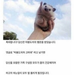 덬들아 최애가 따봉하는 짤포있으면 - 디자인 카테고리