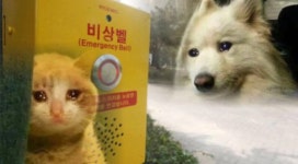 어떡하냐 또 녤보싶임 - 강다니엘 카테고리