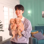 강아지 세마리 🐶 - 국내유명인 카테고리 강아지 세마리 🐶 - 국내유명인 카테고리