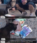 전체 게시판 - 온앤오프 이 영상 뭐라고 검색해야됨..? 엠케이 영상인데