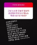 전체 게시판 - 후니 샐러드 야무지게 먹고 보영만두 먹고 먹고 또 먹고....