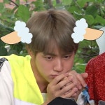 방탄 진 아기염소인 거 멤버피셜 떴다 - 케이돌토크 카테고리