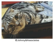 토키꿍 류쩨 너무 닮았어 - 재팬 카테고리