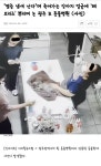 동물병원 페브리즈 사건 당사자들 사과문.jpg - 스퀘어 카테고리
